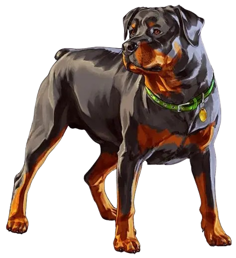🐕 HUISDIER CHOP