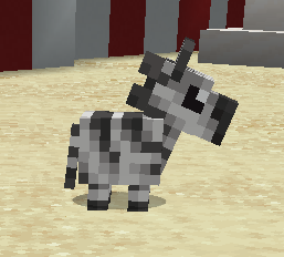 Baby Zebra Pet