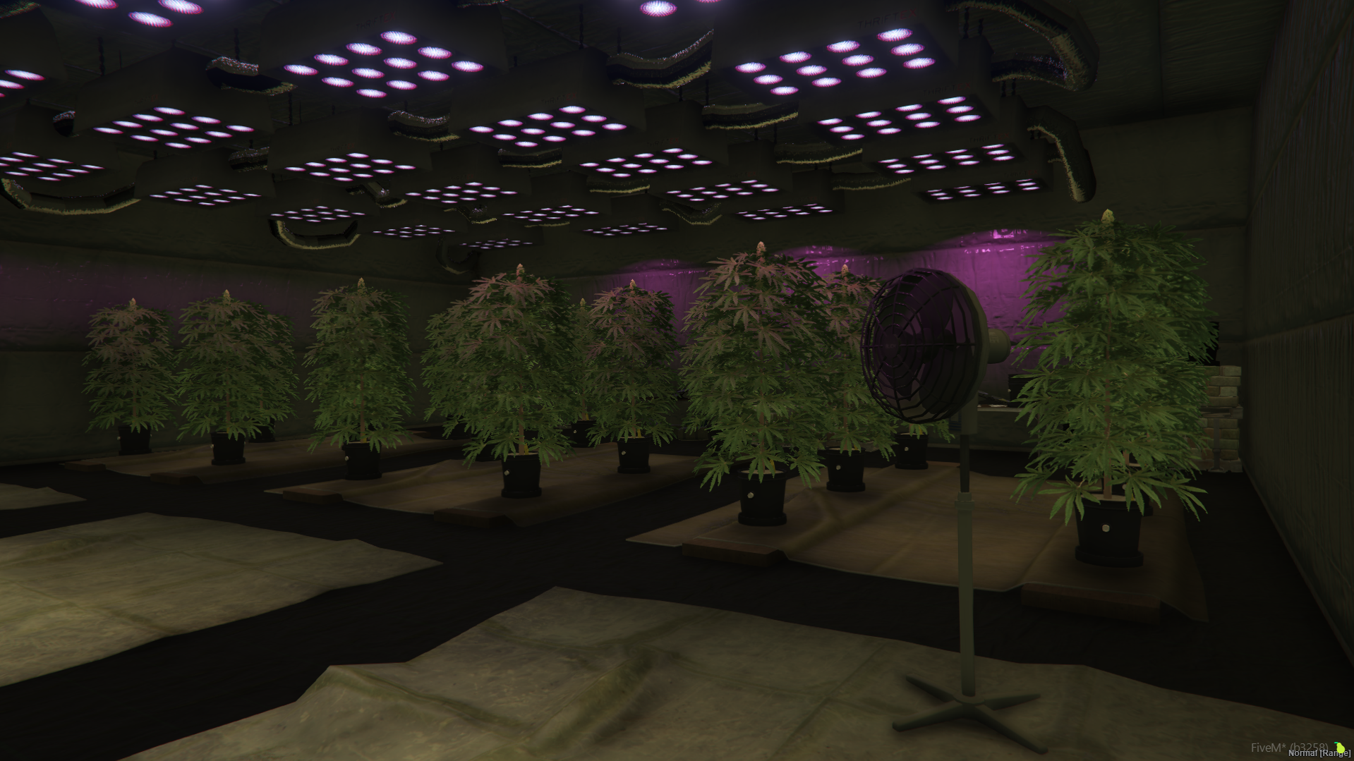 Zedd Underground Hideout