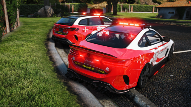 🚑 EMS Bundle V2 Screenshot 9
