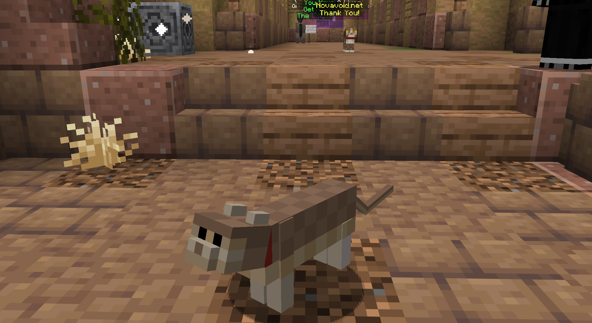 Cod Cat — cosmetic Cat Skins item on the NovaVoid Cat Civilization Minecraft server