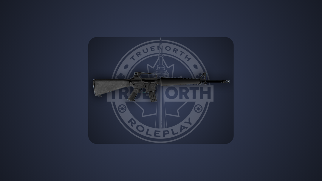 AR16 RIFLE