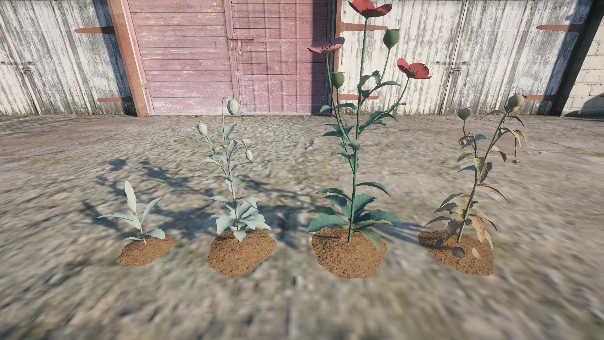 Farm Props: Street Crops - 3