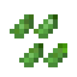 Spinach Seed