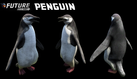 [ANIMAL] [PUPPY] Penguin