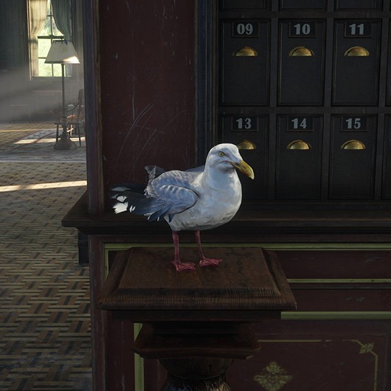 Mouette