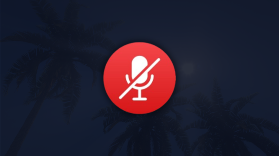 Voice Unmute