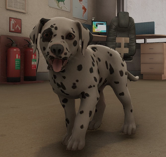 [DOG] [PUPPY] Puppy Dalmatian
