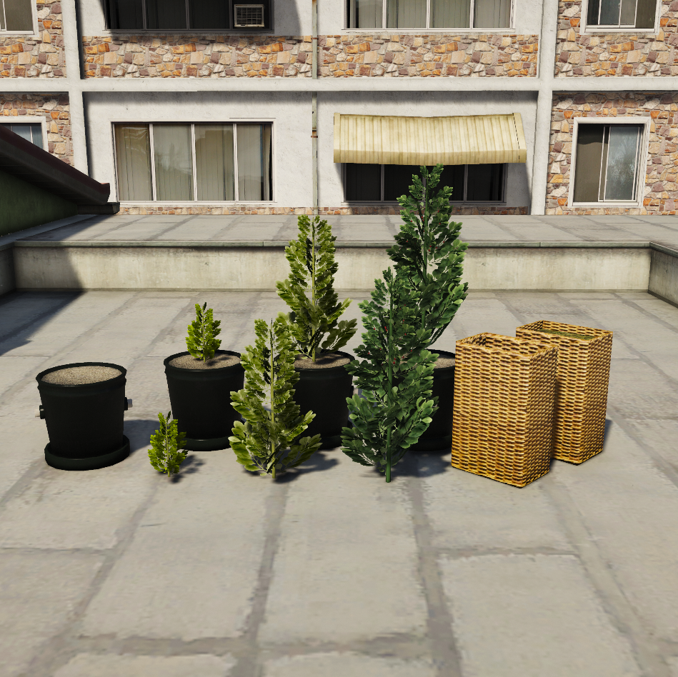 New Coca plant