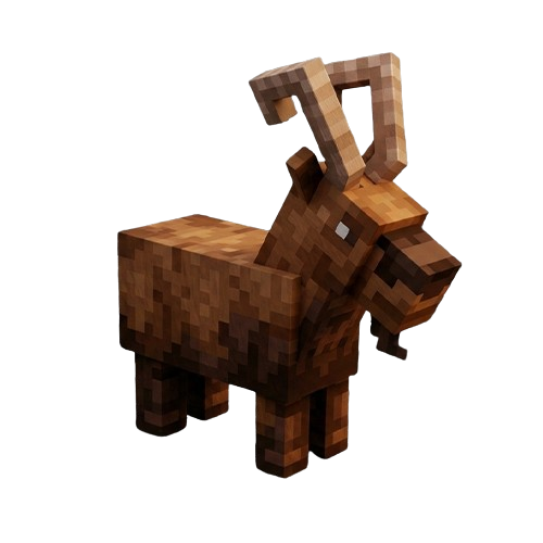 Nubian Ibex