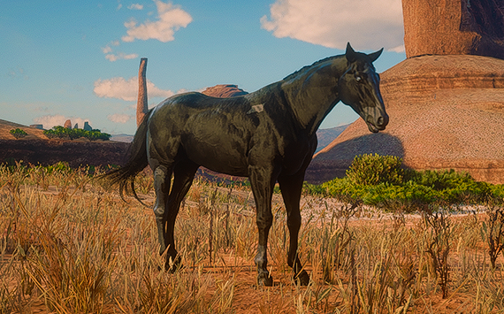 Micah Reborn Midnight - Macho