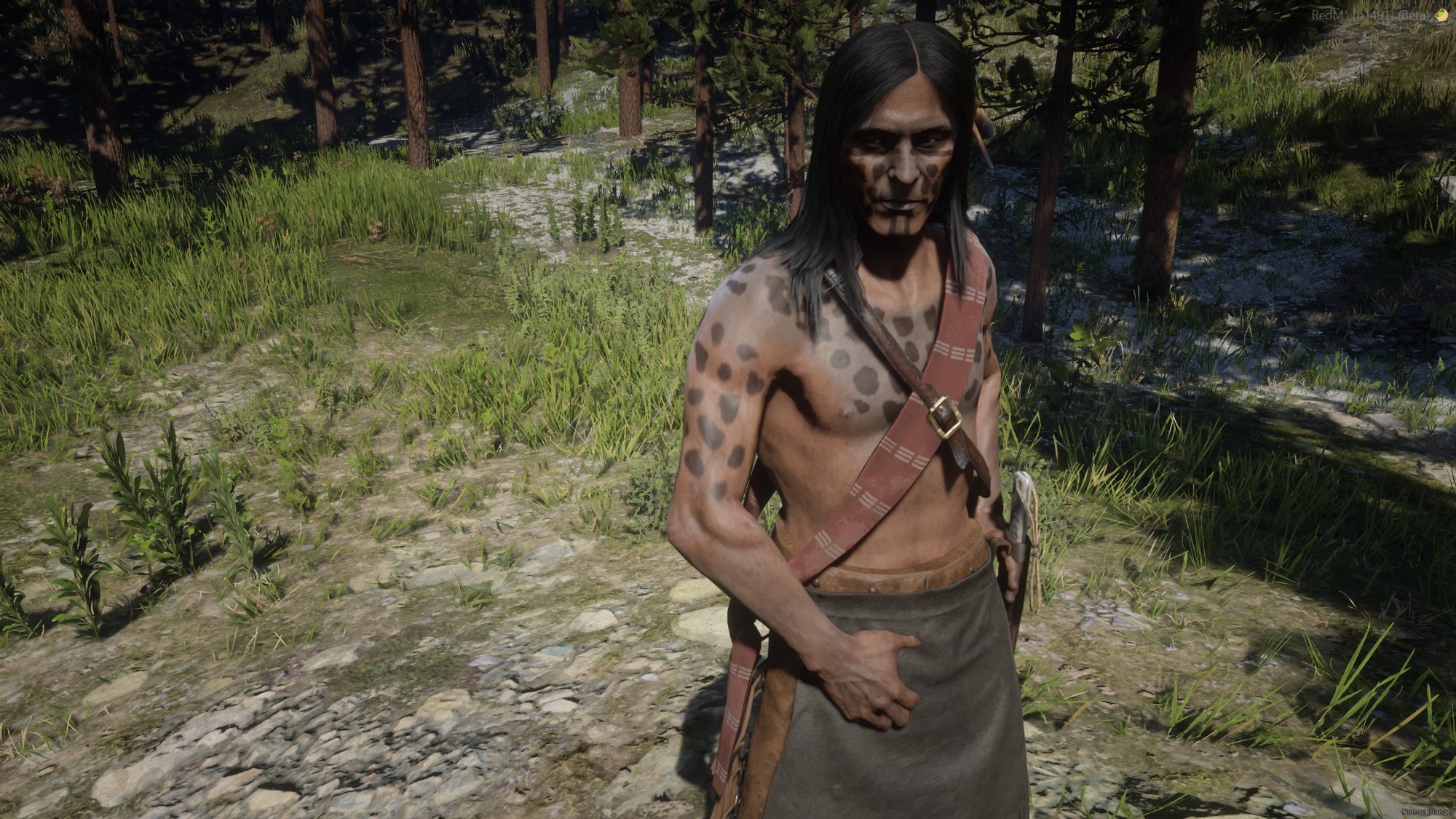 Hawk Native Paint – Spirit of Native