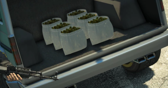 Dubsta V12 WeedBag