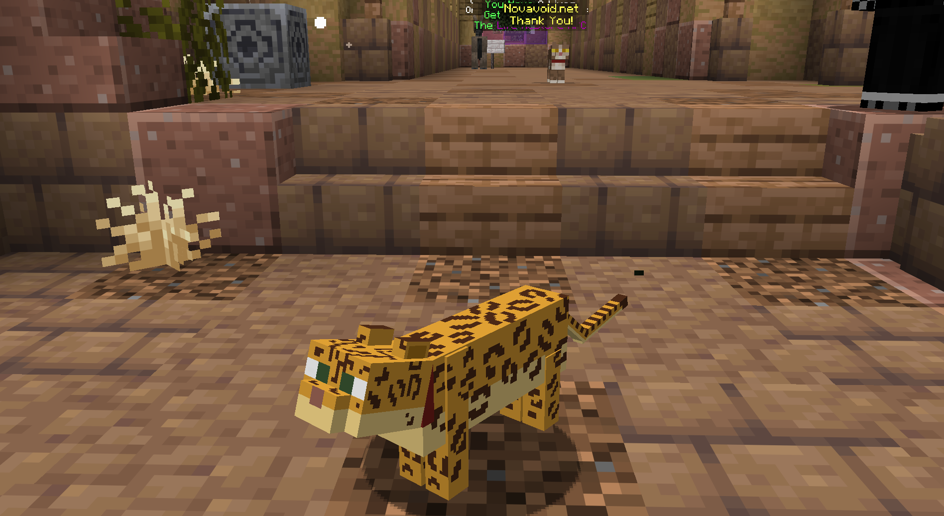 Leopard Cat — cosmetic Cat Skins item on the NovaVoid Cat Civilization Minecraft server