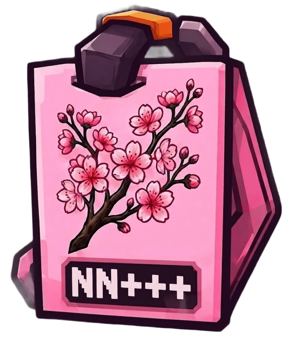 NN+++