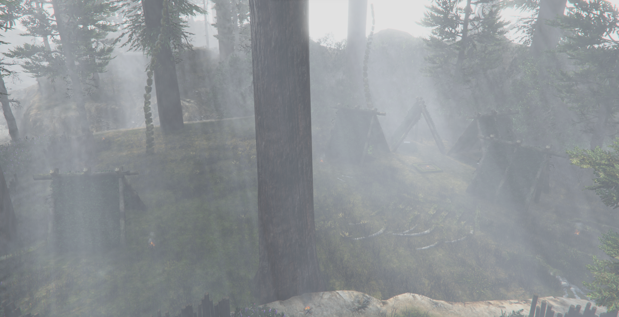 The Forest Island