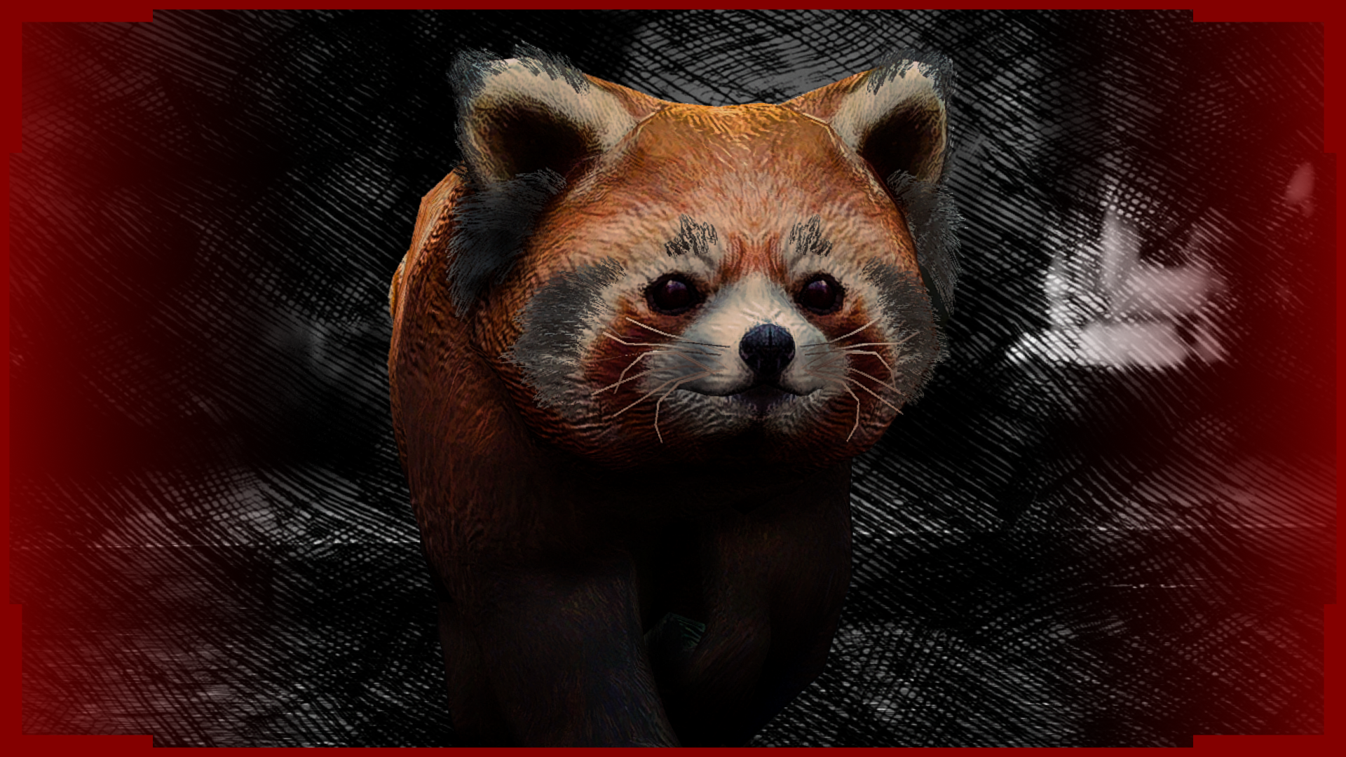 Red panda