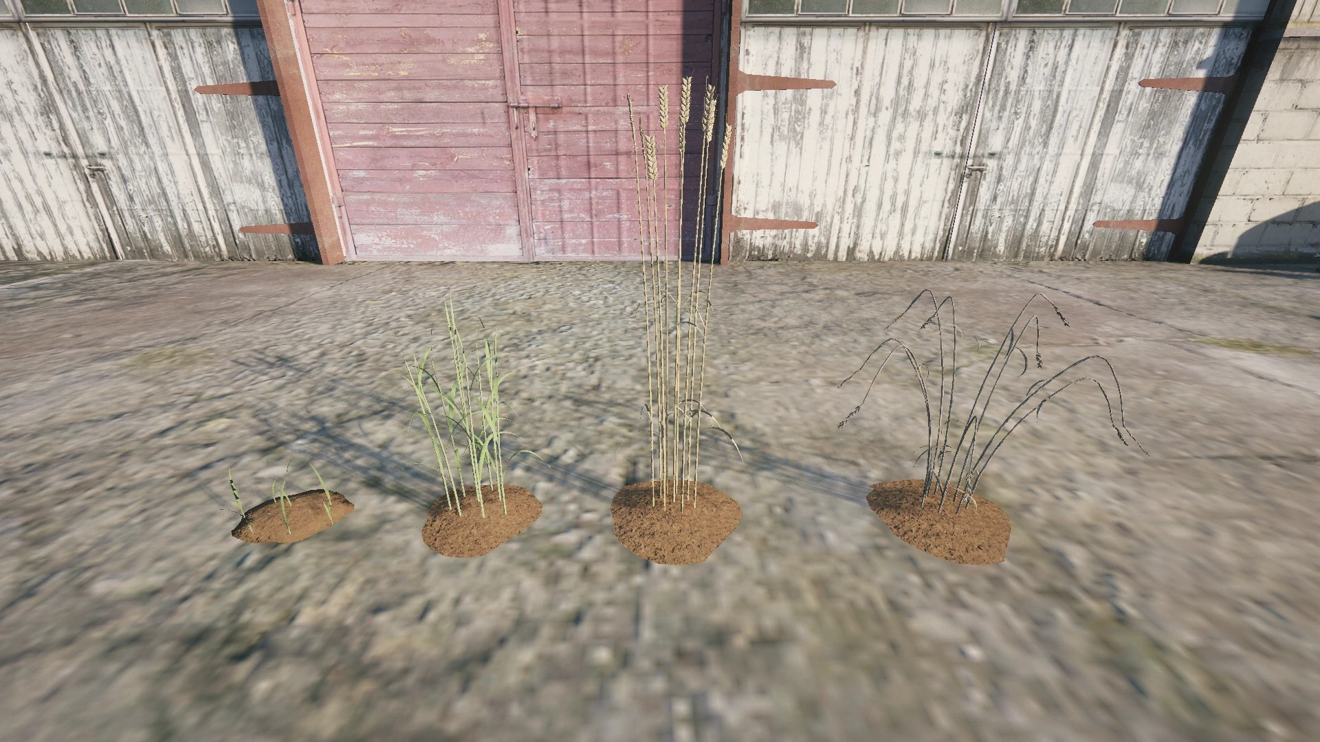 Farm Props: Field Crops - 5