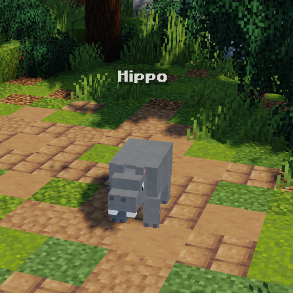 Hippo Pet