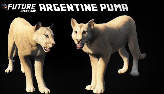 [ANIMAL] Argentine Puma