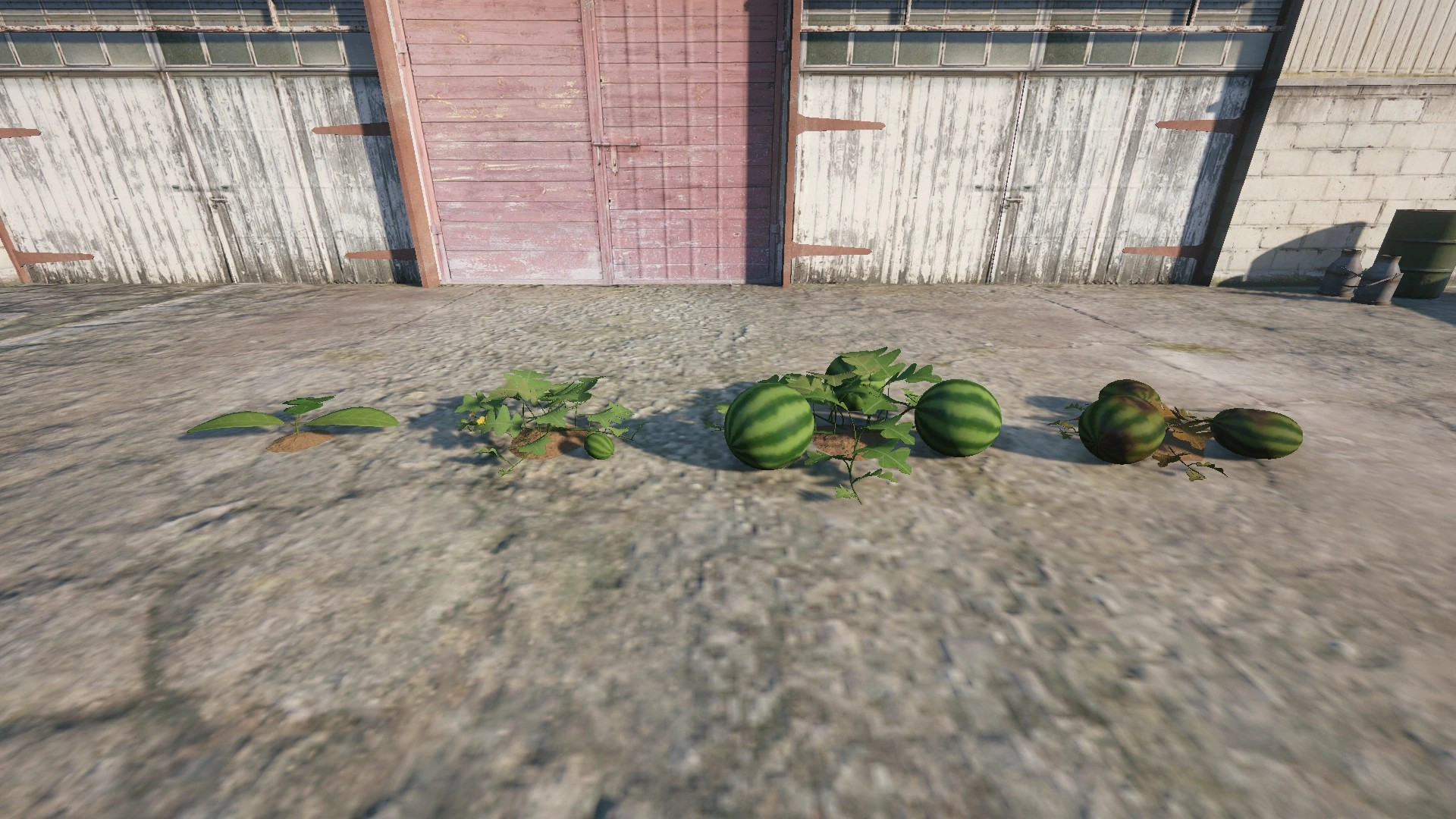 Farm Props: Fruits & Berries - 4