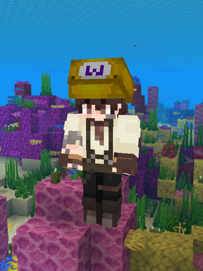 Wario Hat
