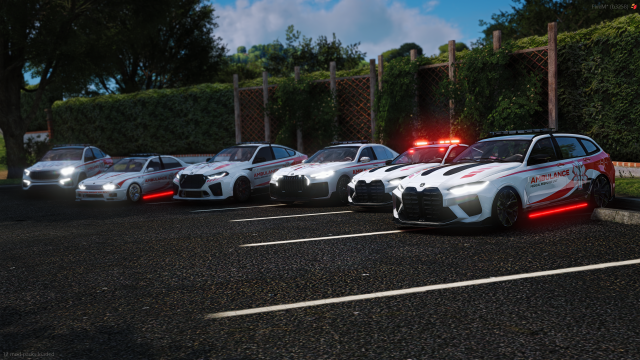 🚑 EMS Bundle V2 Screenshot 5