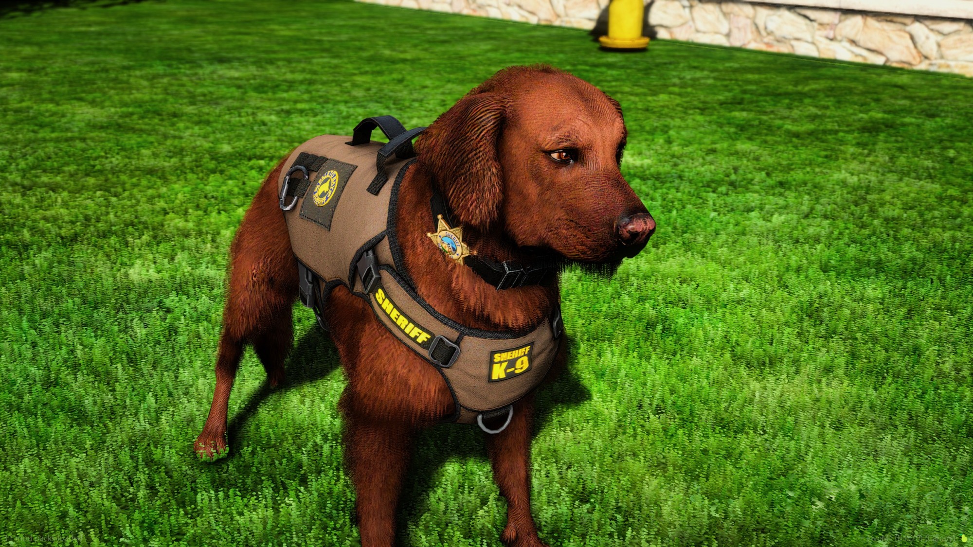 Golden Labrador Retriever Police K9