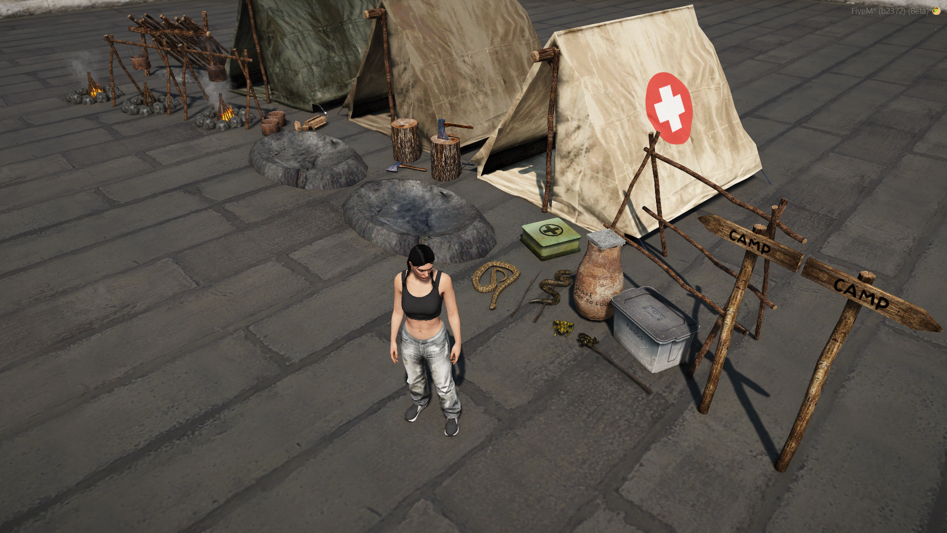 Survival props