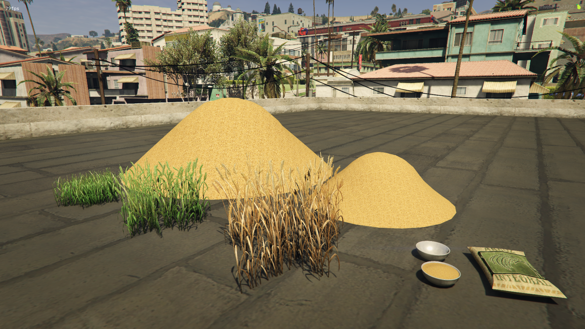 Wheat