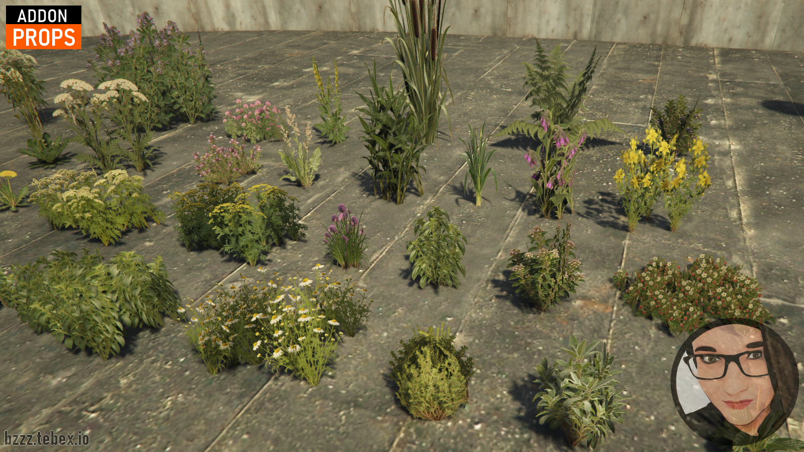 Herbs