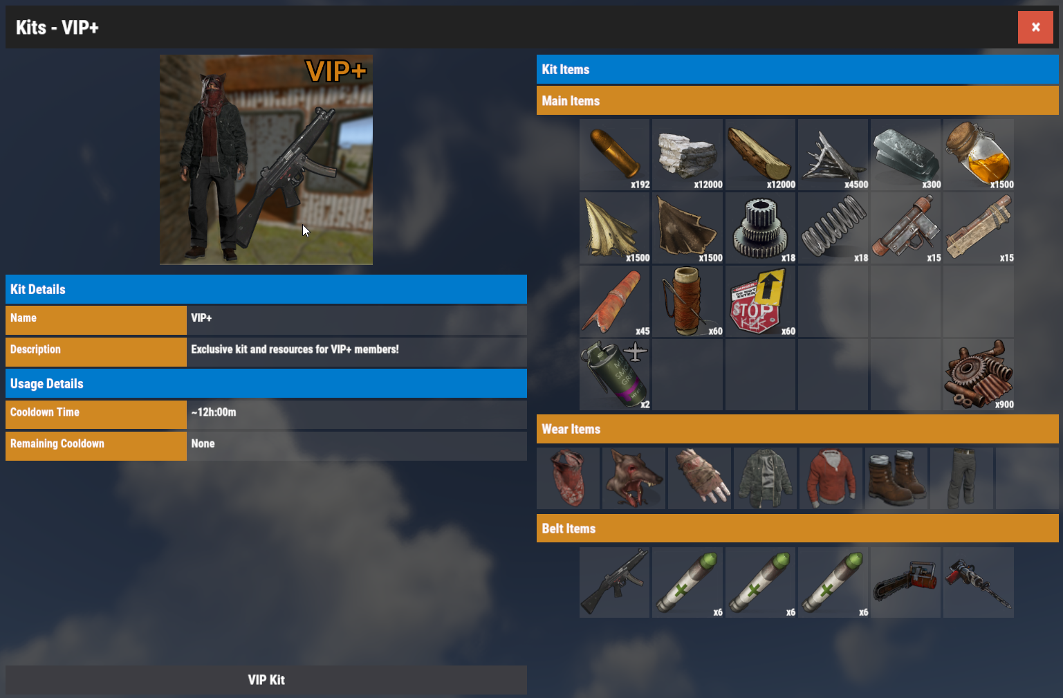 VIP+ Package - 1 Month