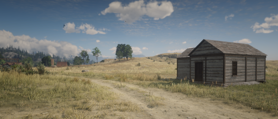 Small Cabin/House