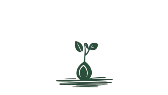 Seedling