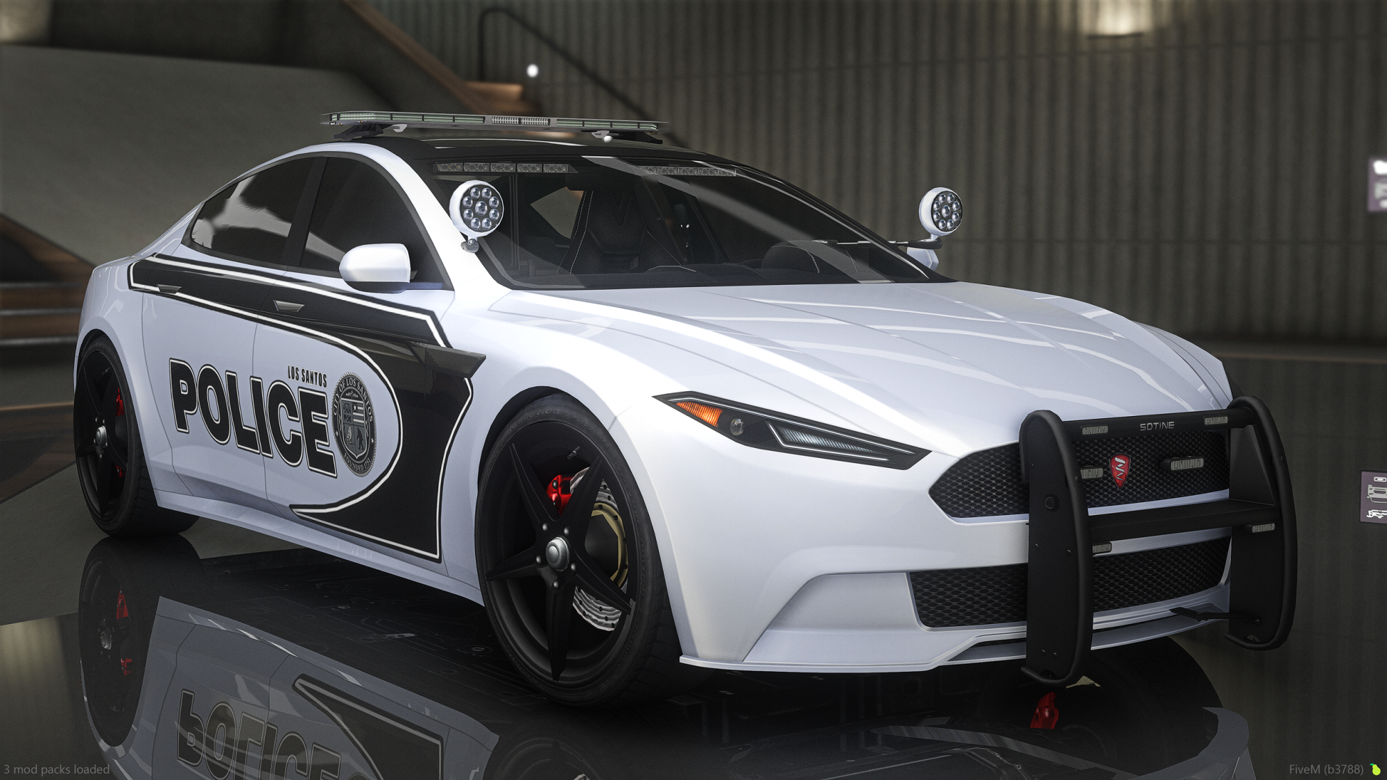 Raiden Police
