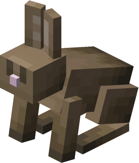 Rabbit Pet