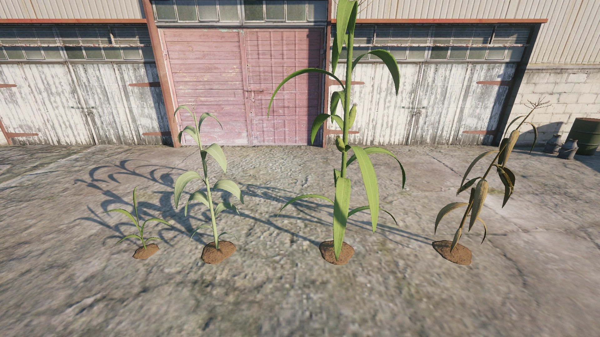 Farm Props: Field Crops - 3