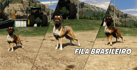 Fila Brasileiro
