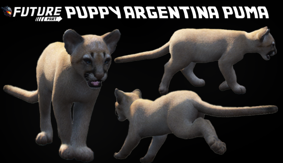 [ANIMAL] [PUPPY] Puppy Argentine Puma