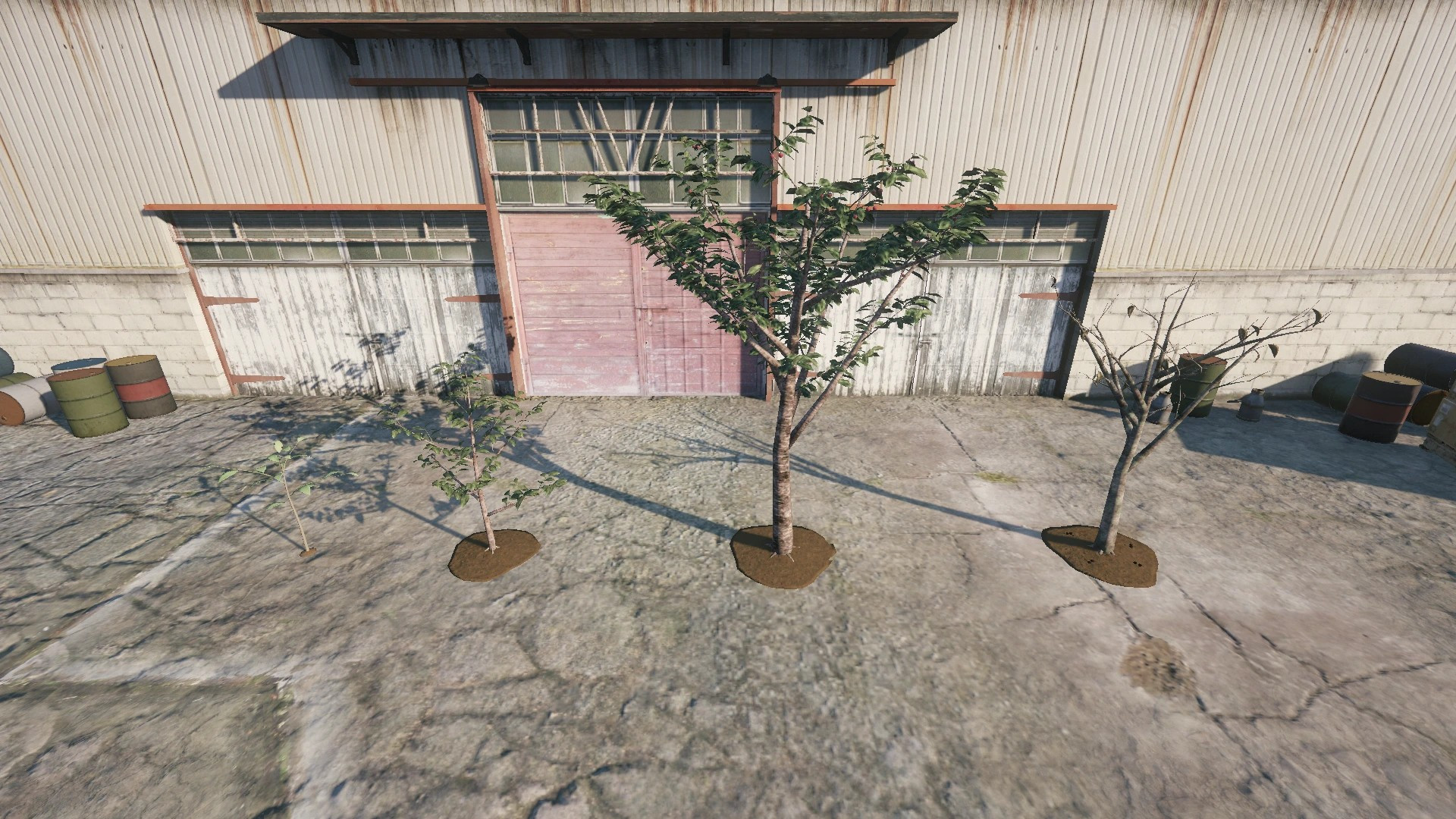 Farm Props: Orchard - 5