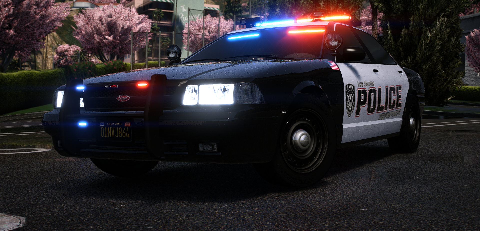POLICE CRUISER (CRUISER)