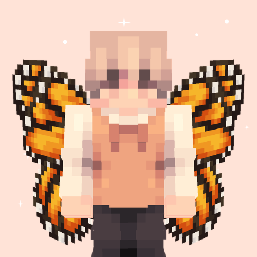Orange Butterfly Wings