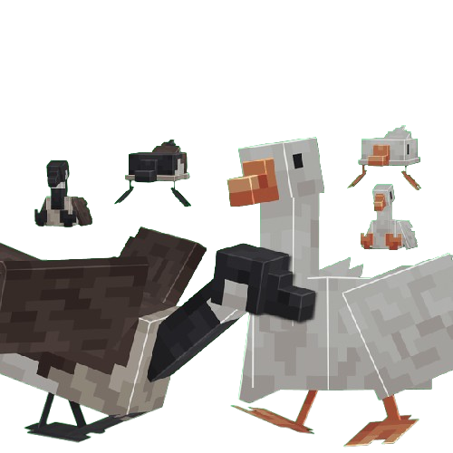 🪿 Geese — Field Protector