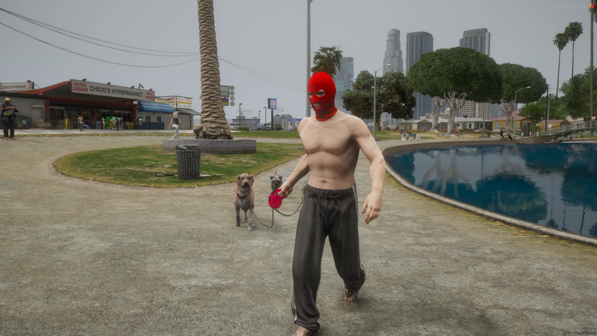 Dog Walker - Image undefined