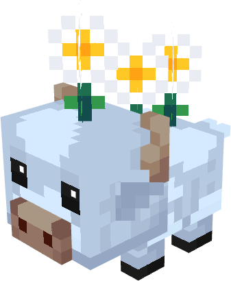 MooBloom Oxeye Daisy