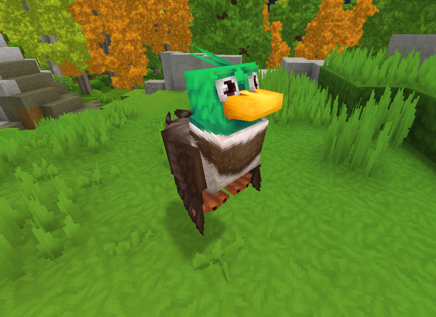 Duck