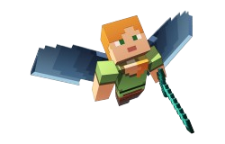 Fly