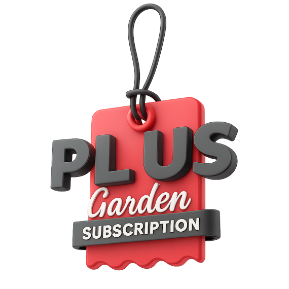 Subscription - [ Plus ]