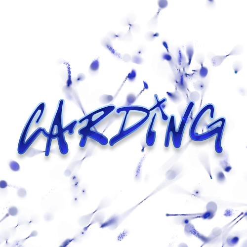 Thio x BJ | Carding System