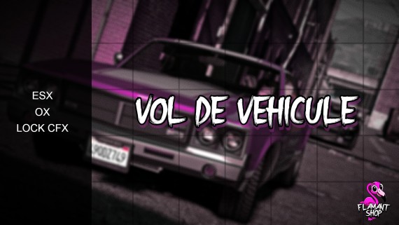 FLAMANT SHOP - Vol de Véhicule